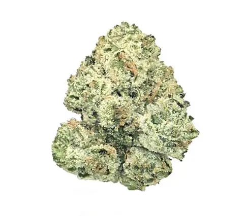 Super Silver Haze · Top Shelf (S) cannabis flower