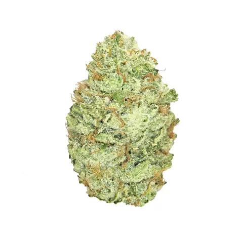 Superglue #4 · Exotic (H) cannabis flower