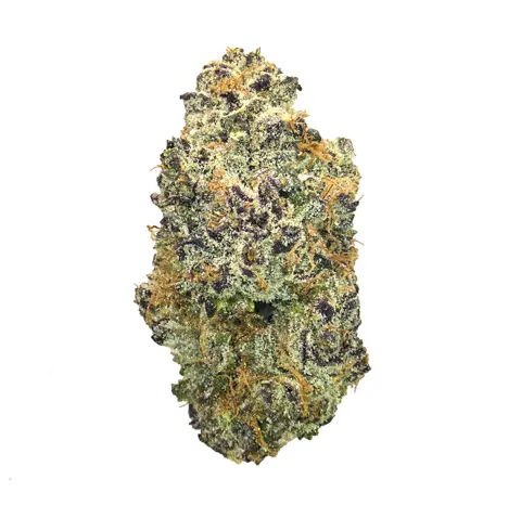White Gushers Tk41 · Exotic (H) cannabis flower
