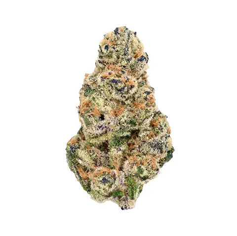 Chocolate Sherbanger · Ultra Exotic (I) cannabis flower