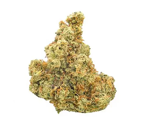 Dutch Treat · Ultra Exotic (I/H) cannabis flower
