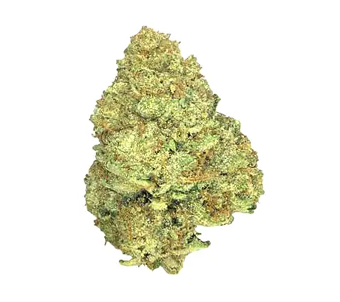 Hawaiian Punch · Top Shelf (S) cannabis flower