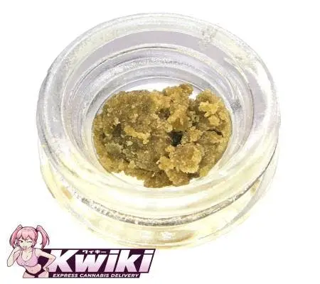 Oro Piattella Cold Cured Water Hash 1G - Governmint Oasis (H) concentrate