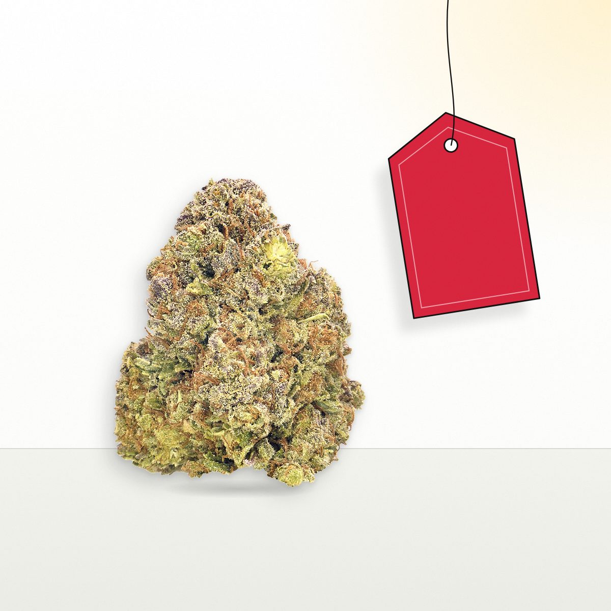 Master Kush Sungrown cannabis flower bud beside a blank red price tag